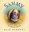 Sammy - The Classroom Guinea Pig
