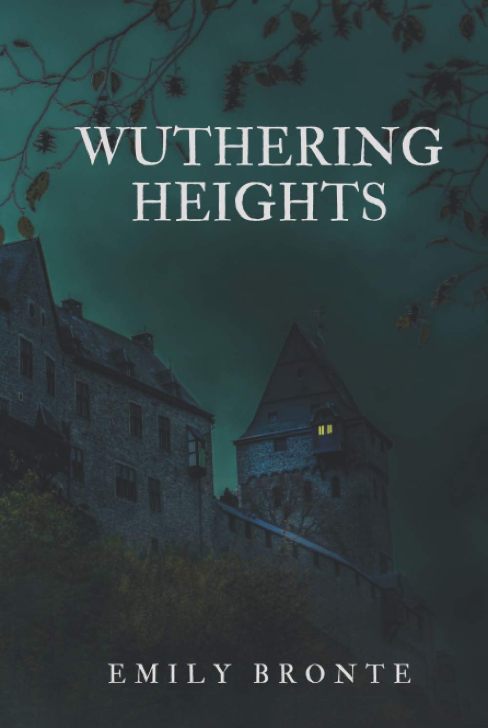 Emma & Wuthering Heights 2e & Scarlet Letter & Awakening 2e