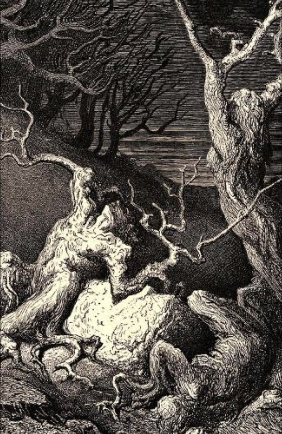 Unquiet Grove